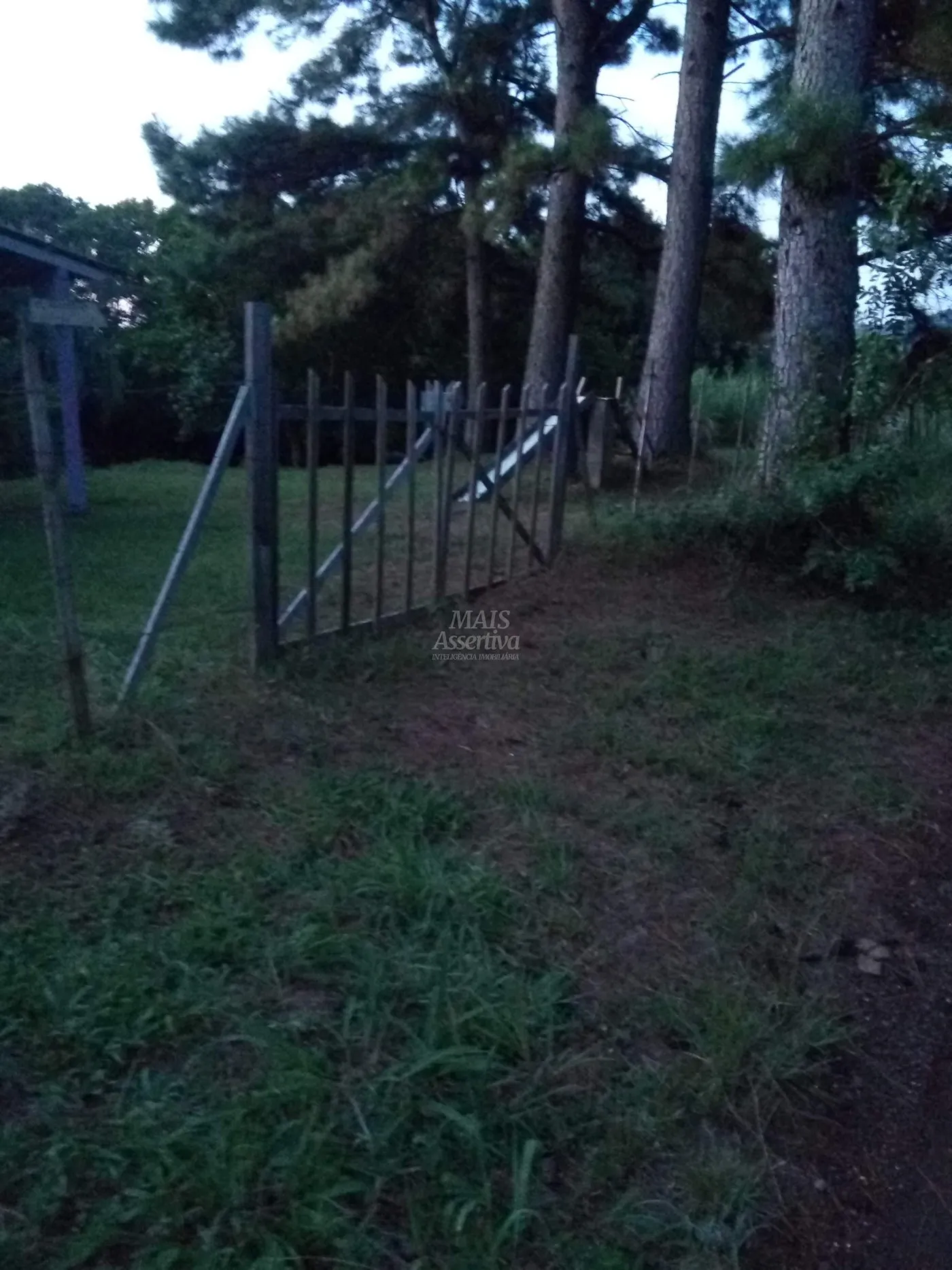 Imagem Chácara para venda em Rolante (8.000m²)