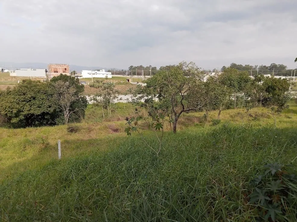 Imagem Terreno à venda, Residencial Parque das Palmeiras, Pindamonhangaba, SP