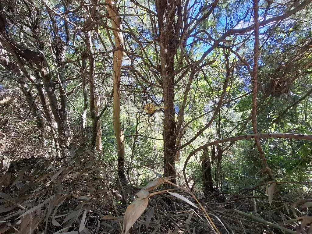 Imagem Terreno para Venda em Teresópolis / RJ no bairro Jardim Salaco