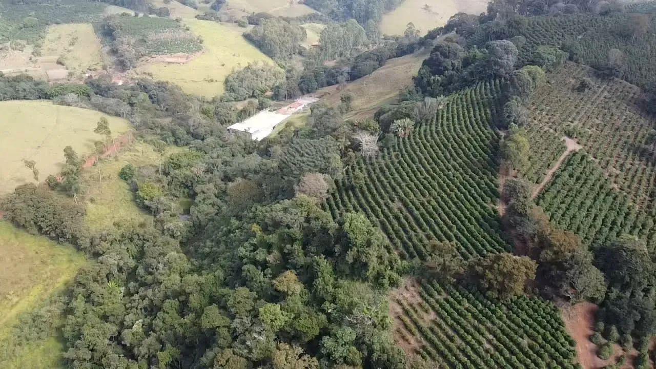 Imagem Sítio 3,63 ha à venda em Primos, Campestre