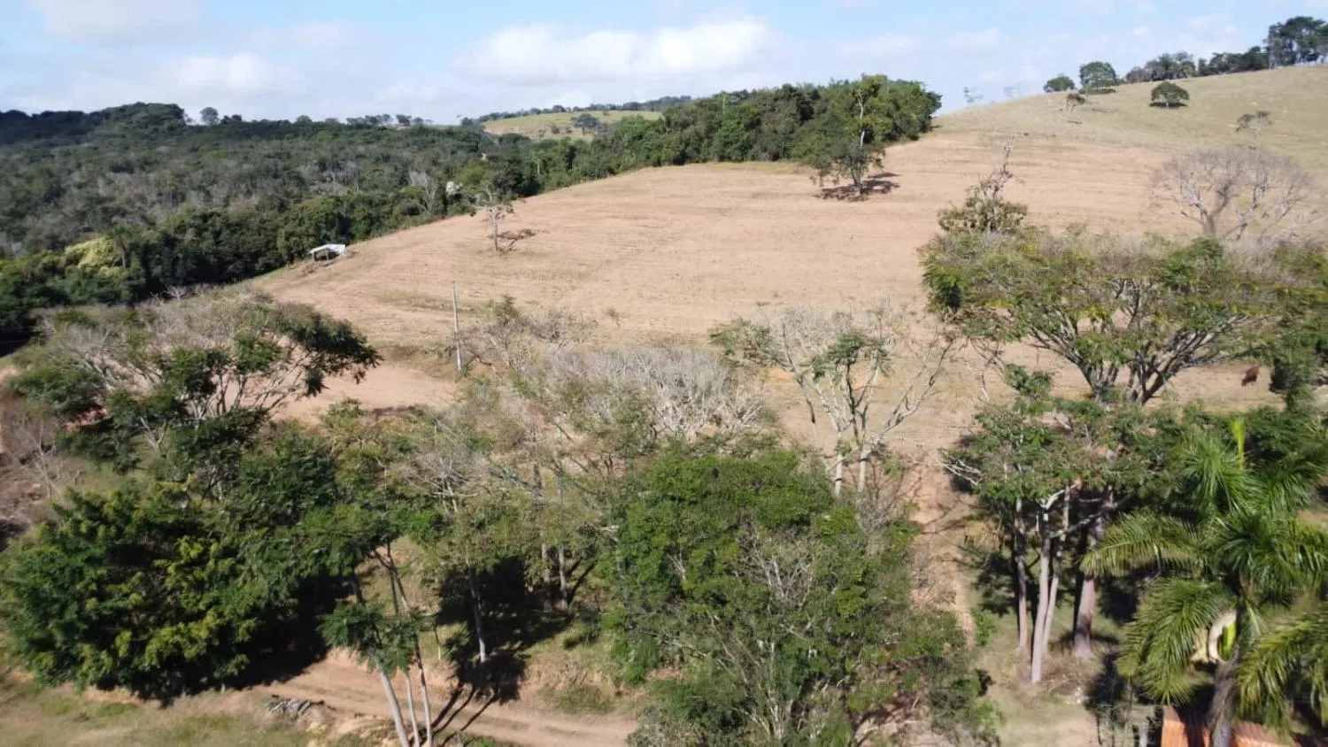 Imagem EXCELENTE TERRENO À VENDA EM OLIVEIRA MG | 16 HECTARES