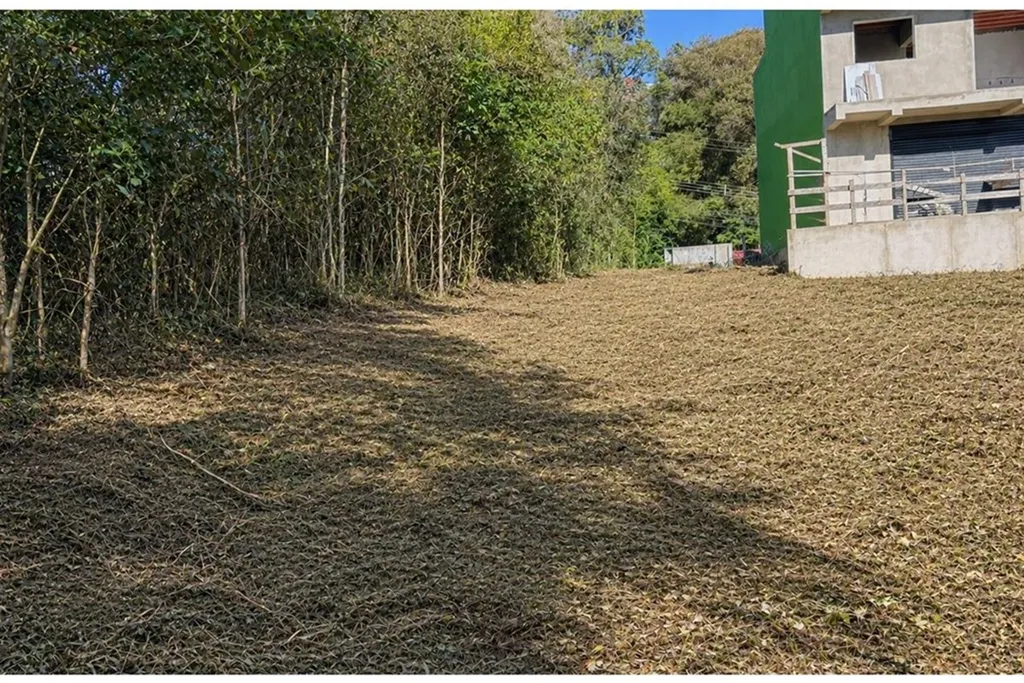 Imagem Terreno em Tristeza