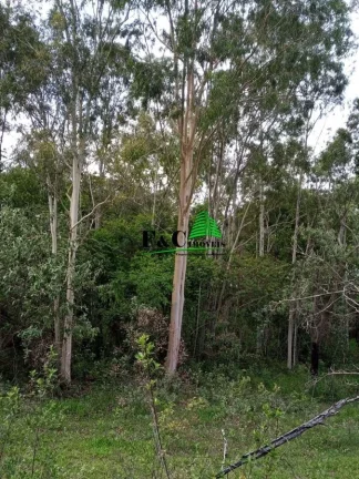 Imagem Terreno para Venda em Rio Claro, Área Rural de Rio Claro