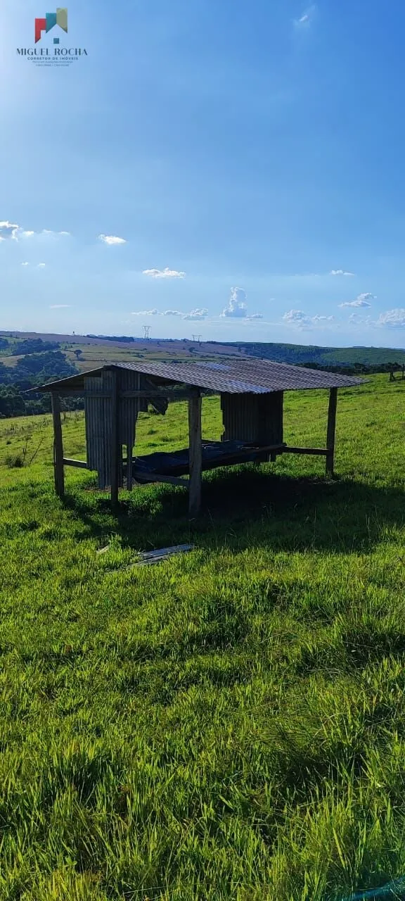 Imagem Sítio a venda em Itapetininga SP