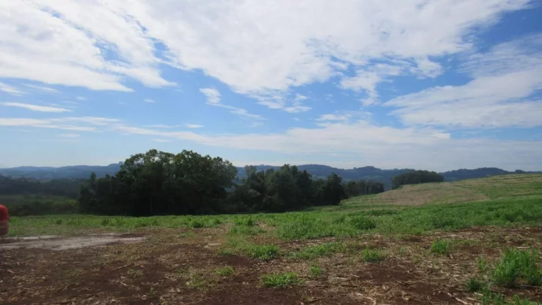Imagem Área Agrícola para Venda em Concórdia, Rancho Grande
