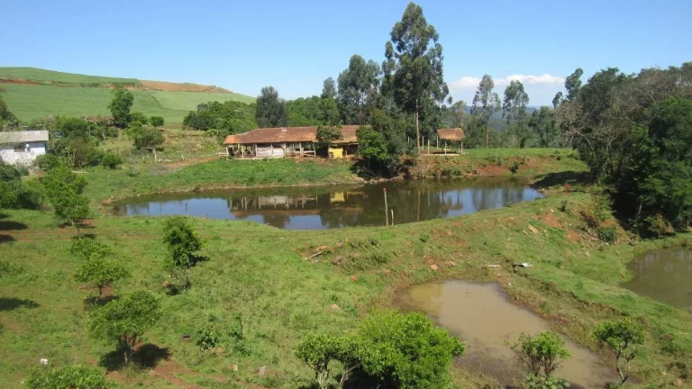 Imagem Área Agrícola para Venda em Arabuta, Rural