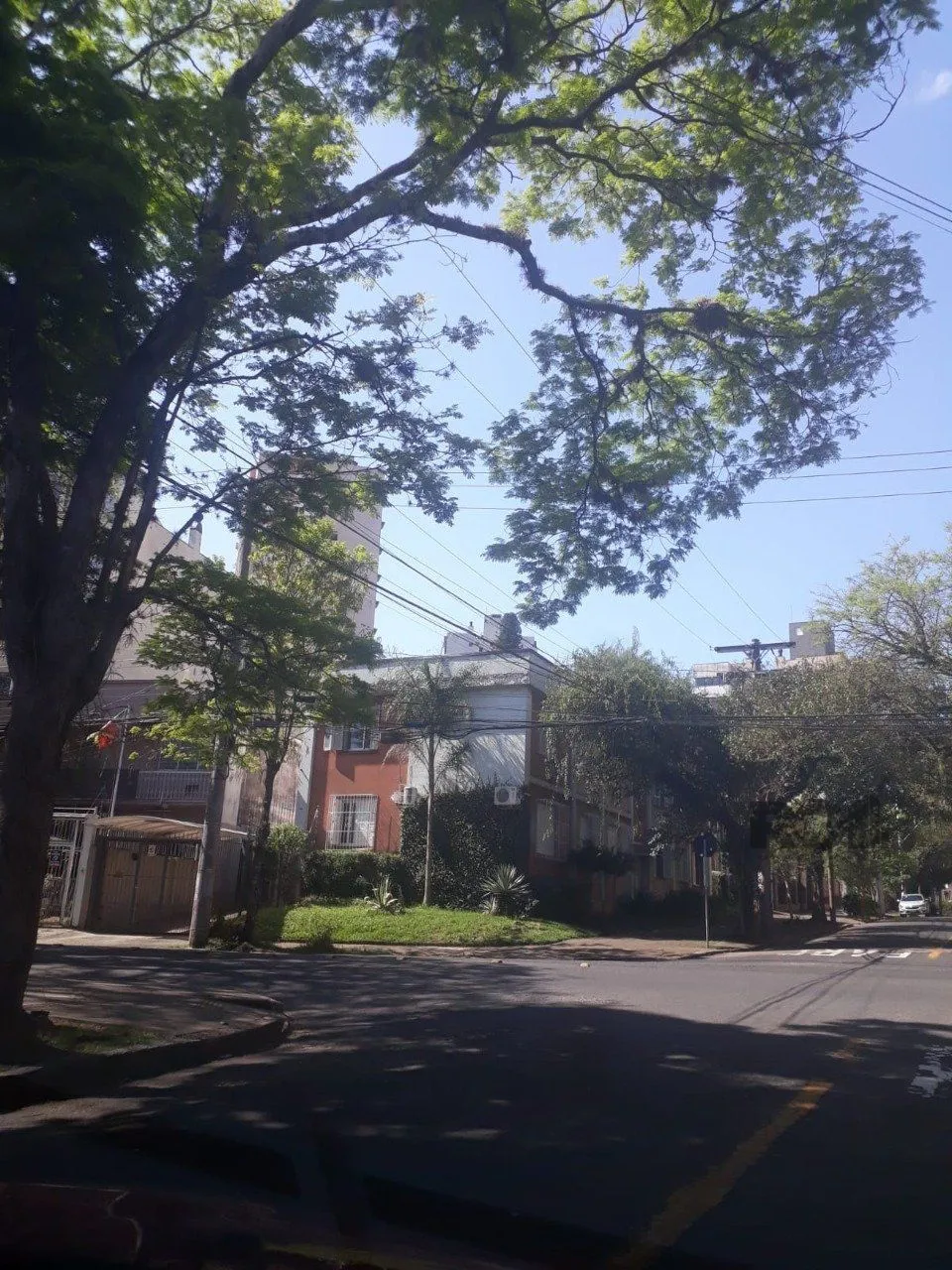 Imagem Terreno em Jardim Botânico