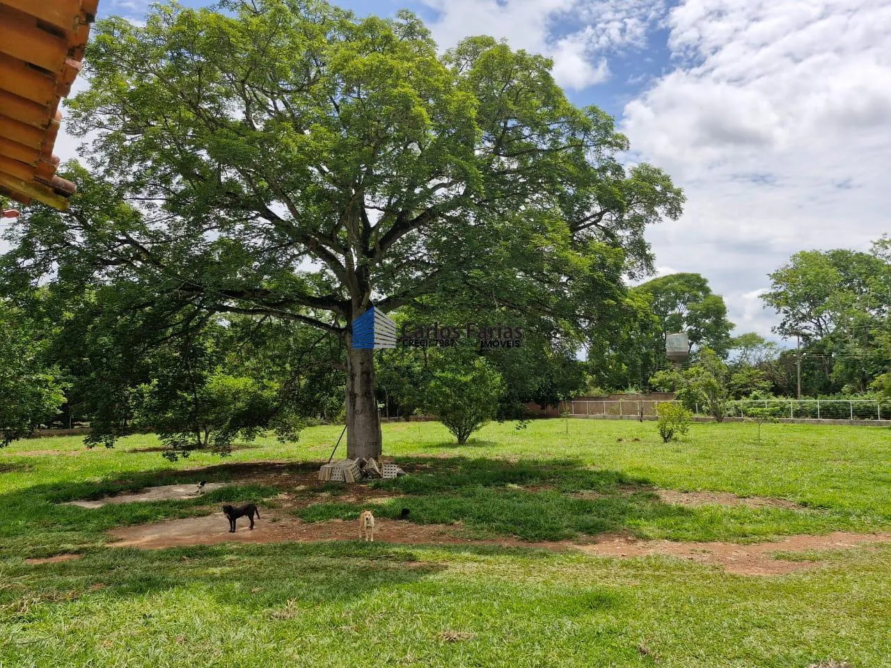 Imagem Chácara para Venda em Brasília, Setor Habitacional Jardim Botânico, 3 dormitórios, 2 suítes, 4 banheiros, 4 vagas