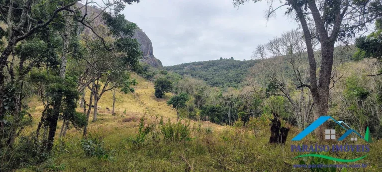 Imagem Oportunidade Única na Serra da Mantiqueira! Pedra do Jair.