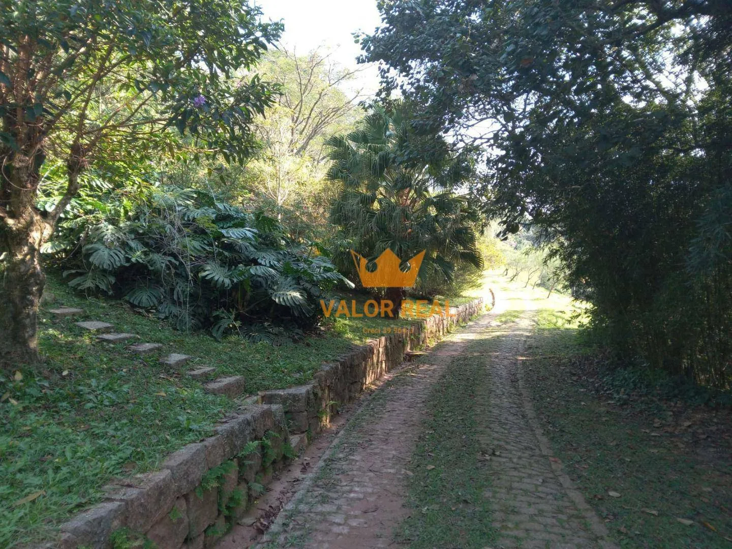 Imagem Sítio Campo Limpo, 99 mil m2, Meio da Natureza, R$ 3 milhões.