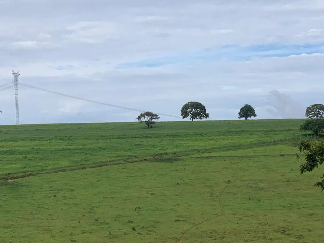 Imagem Vendo uma magnífica fazenda em Santo Antônio do Amparo/MG 318 hectares