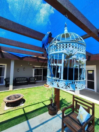 Imagem Casa Espetacular com 4 suítes Ninho Verde 1 - Encante-se com seu novo lar