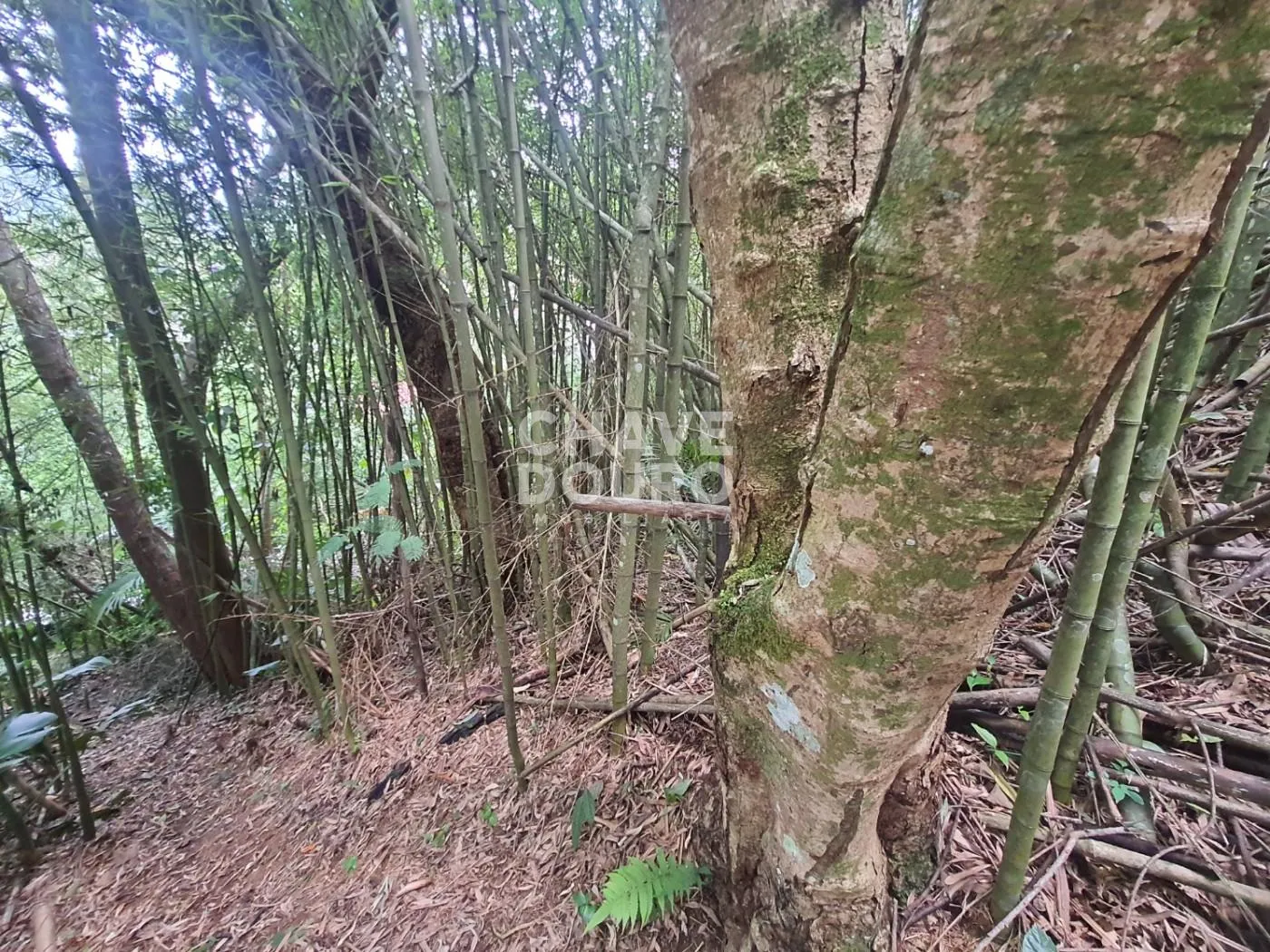 Imagem Terreno de 450m em localização central em bairro residencial