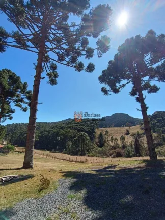 Imagem Sítio com 5 dormitórios à venda, 126000 m² por R$ 2.750.000,00 - Bom Jardim - Camanducaia/MG