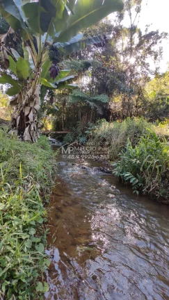 Imagem VENHA CONHECER O PARAÍSO NOVA TRENTINO! SÍTIO RECANDO DA ESPERANÇA Você está em busca de um refúgio tranquilo, próximo à natureza