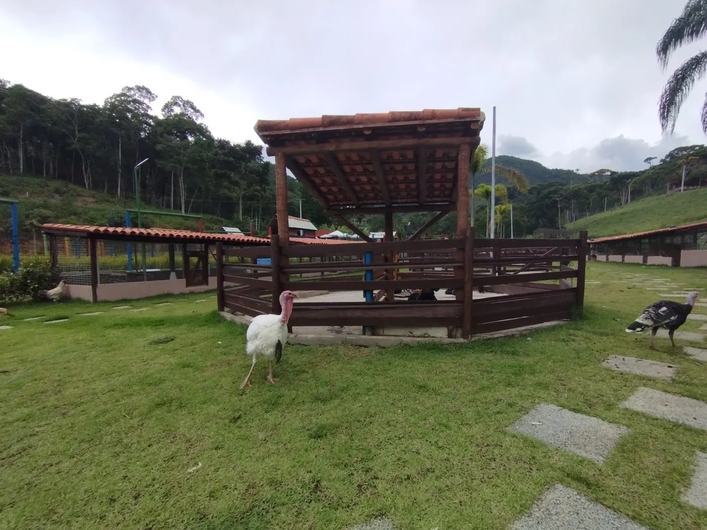 Imagem Terreno em Condomínio para Venda em Teresópolis / RJ no bairro Fazenda Alpina