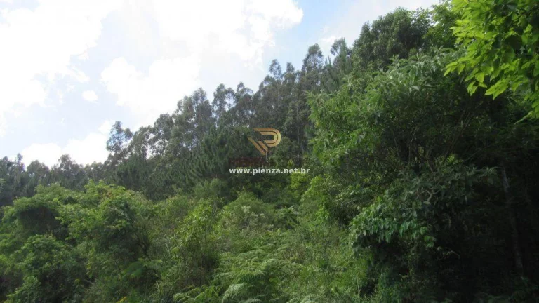 Imagem Área Agrícola para Venda em Lindóia do Sul, Interior