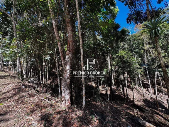 Imagem Terreno à venda, 10.793m² por R$ 440.000 - Albuquerque - Teresópolis/RJ