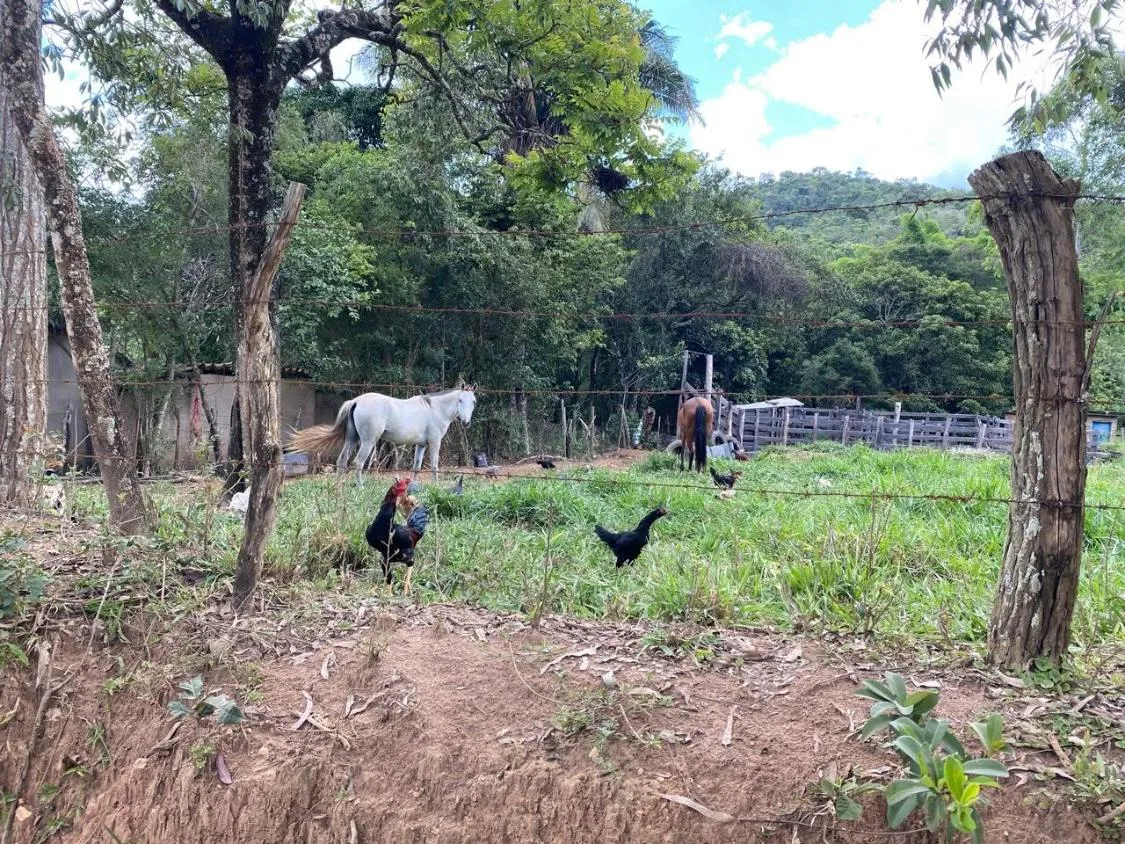 Imagem Vendo uma ótima chácara em Itaguara/MG com 23.000 m²