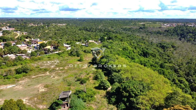 Imagem AREA COMERCIAL em SANTA CRUZ CABRÁLIA - BA, Santa Cruz Cabrália
