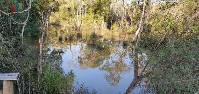Imagem Fazenda região de Itapetininga SP