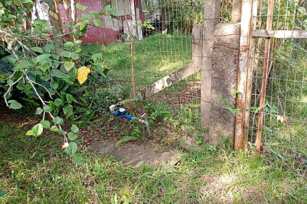 Imagem Fazenda em Belém Novo