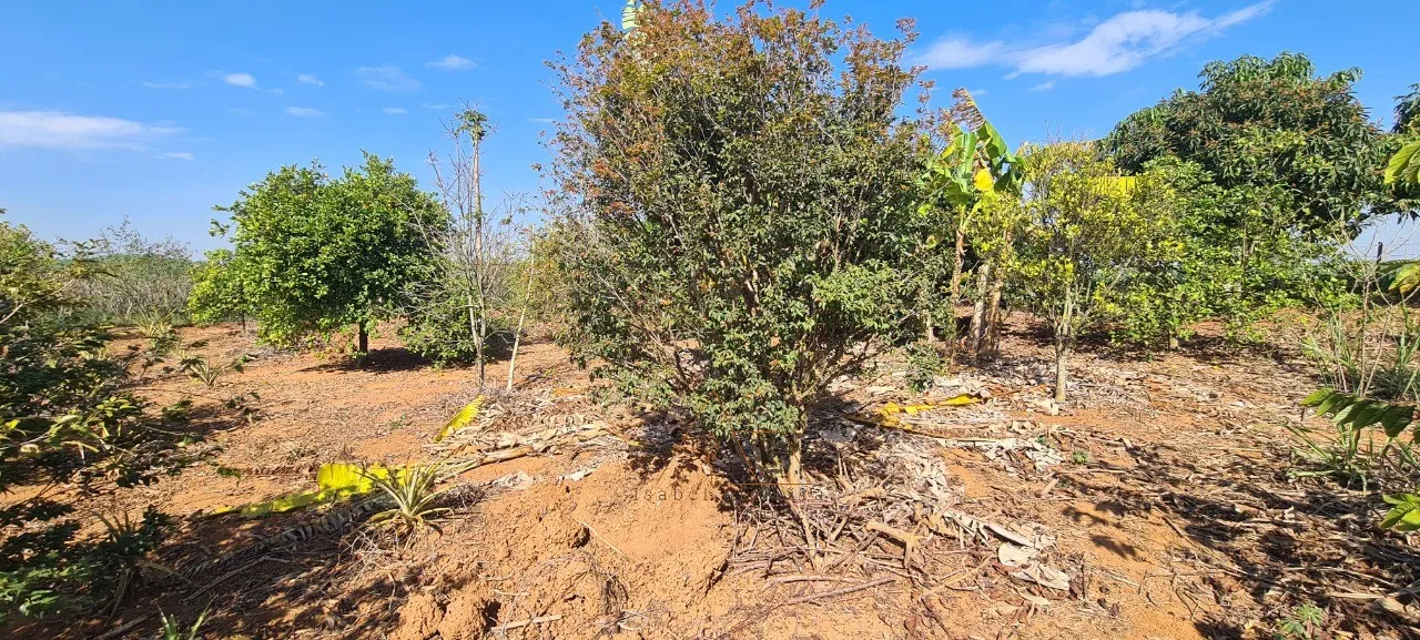 Imagem Chácara à venda em Cesário Lange-SP, bairro Campininha: 2 quartos, 1 sala, 1 banheiro, 1 vaga, 150m². Aproveite!