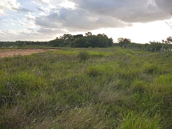 Imagem INVESTIDORES !!! - Excelente área de 2 Hectares, em Águas Claras, Viamão