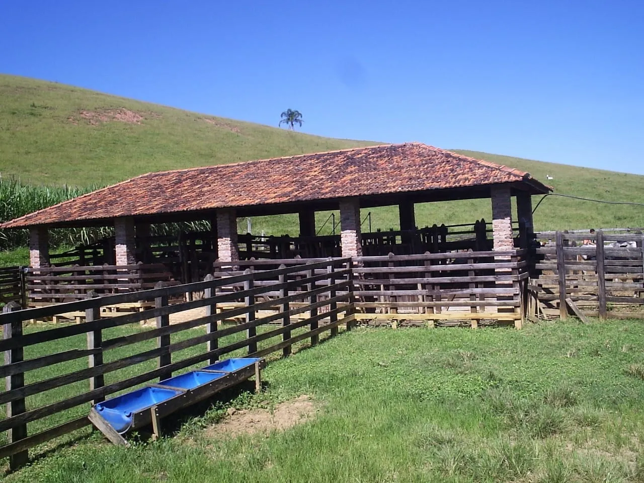 Imagem FAZENDA COMPLETA E ESTRUTURADA PARA PECUÁRIA - 105,5 ALQUEIRES