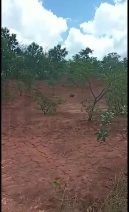 Imagem CASAL IMÓVEIS VENDE FAZENDA NO MARANHÃO COM 2.812 ALQUEIRES