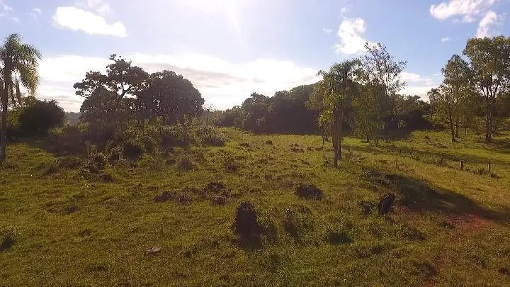 Imagem Chácara para Venda em Santo Antônio da Patrulha / RS no bairro Roça Grande