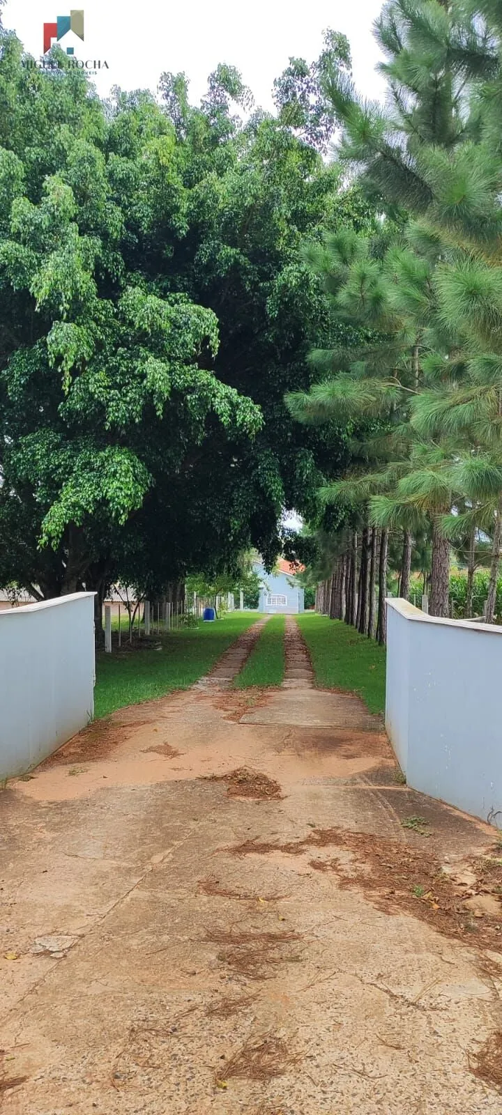 Imagem Sítio região Itapetininga SP