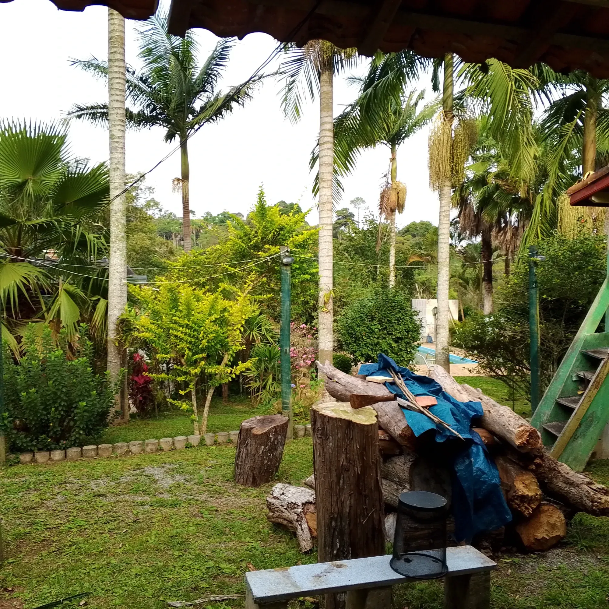 Imagem Chácara com 3 Quartos à Venda, 12.000 m² em Jardim das Cerejeiras - Cotia