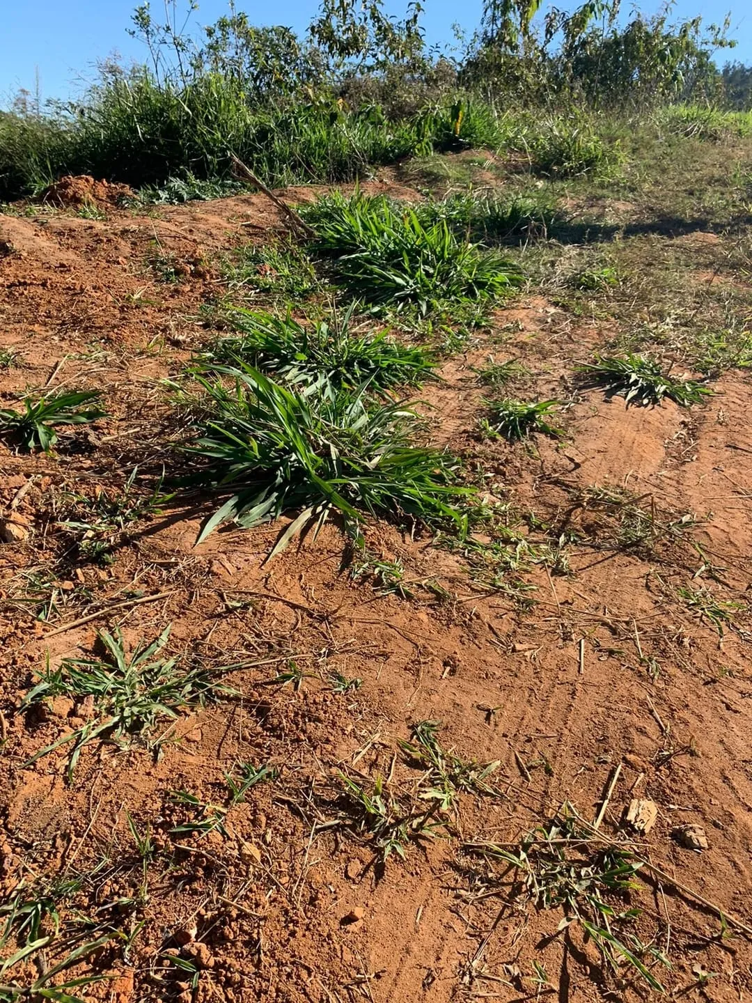 Imagem Chácara à venda Zona Rural, Lagoinha - SP