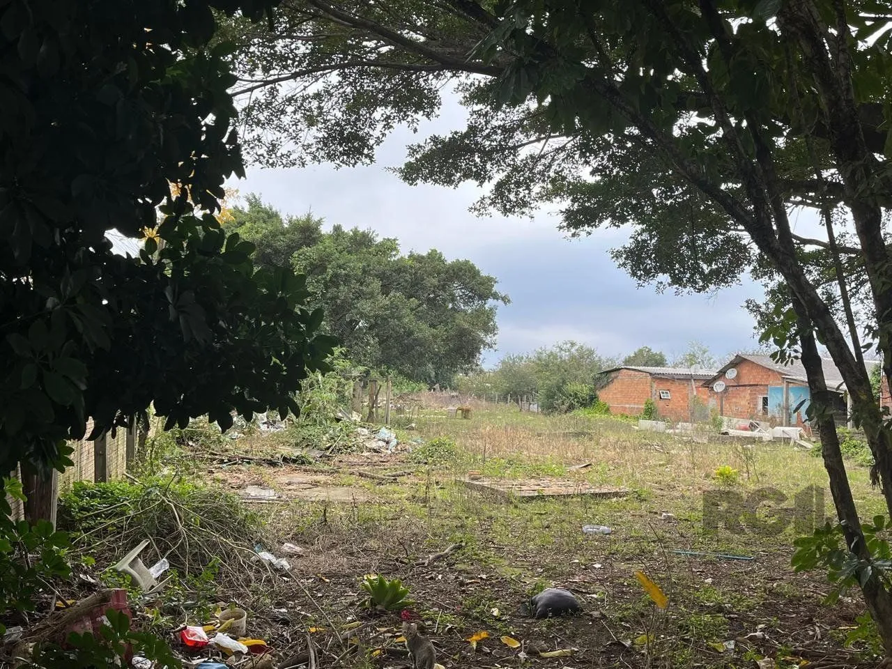 Imagem Terreno 3.000m² Bairro São João