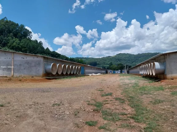 Imagem Granja para Venda em Lindóia do Sul, Interior