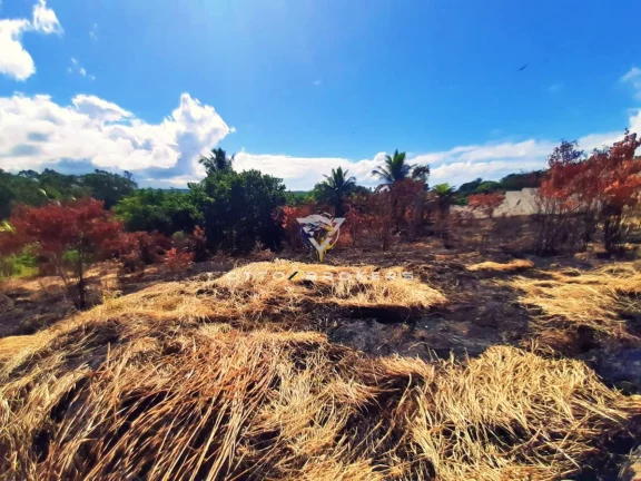 Imagem AREA COMERCIAL em SANTA CRUZ CABRÁLIA - BA, Mirante