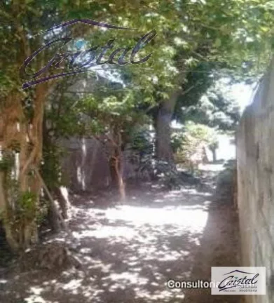 Imagem Terreno à venda, 500 m² por R$ 1.200.000,00 - Butantã - São Paulo/SP