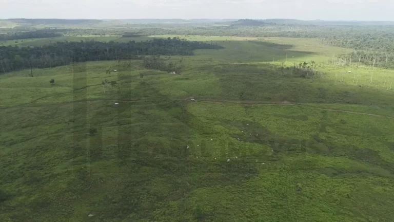 Imagem CASAL IMÓVEIS VENDE FAZENDA EM PARAGOMINAS 500 ALQUEIRES