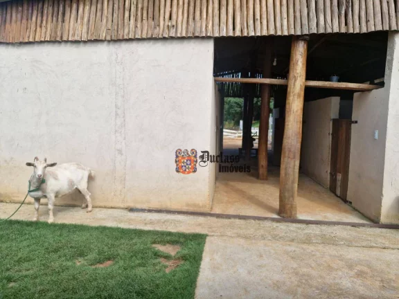 Imagem Sítio Pesqueiro à venda, 70500 m² por R$ 2.790.000 - Campos de Bragança - Bragança Paulista/SP