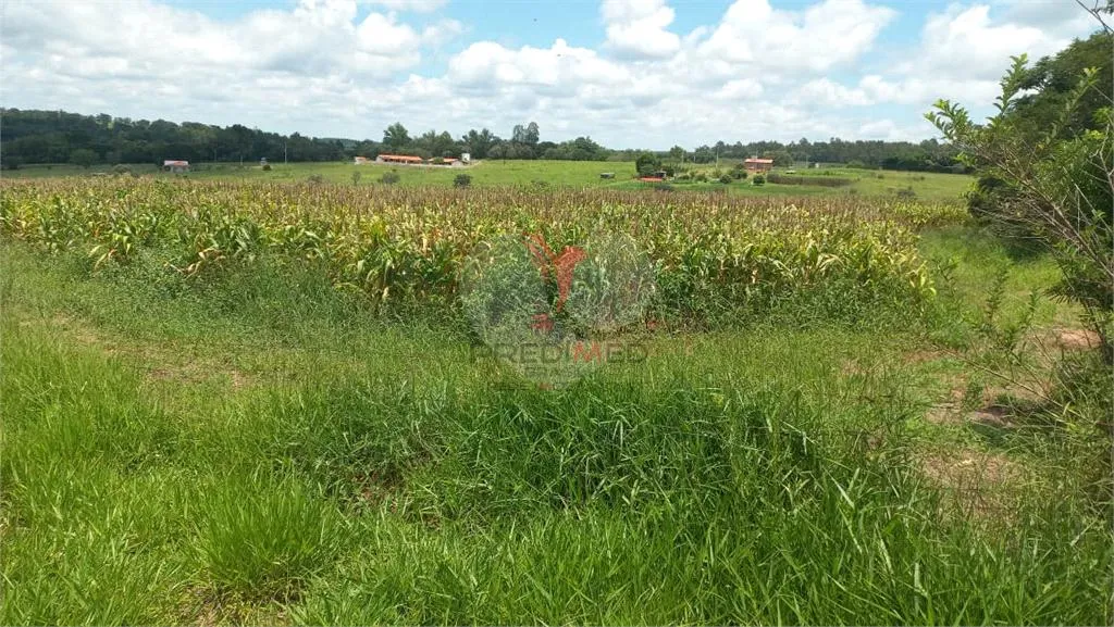 Foto do imóvel Fazenda/Sítios/Chácaras de 26000m² no bairro Área Rural De Piratininga, em Piratininga