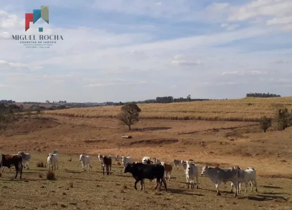 Imagem Fazenda Região de Tiête SP