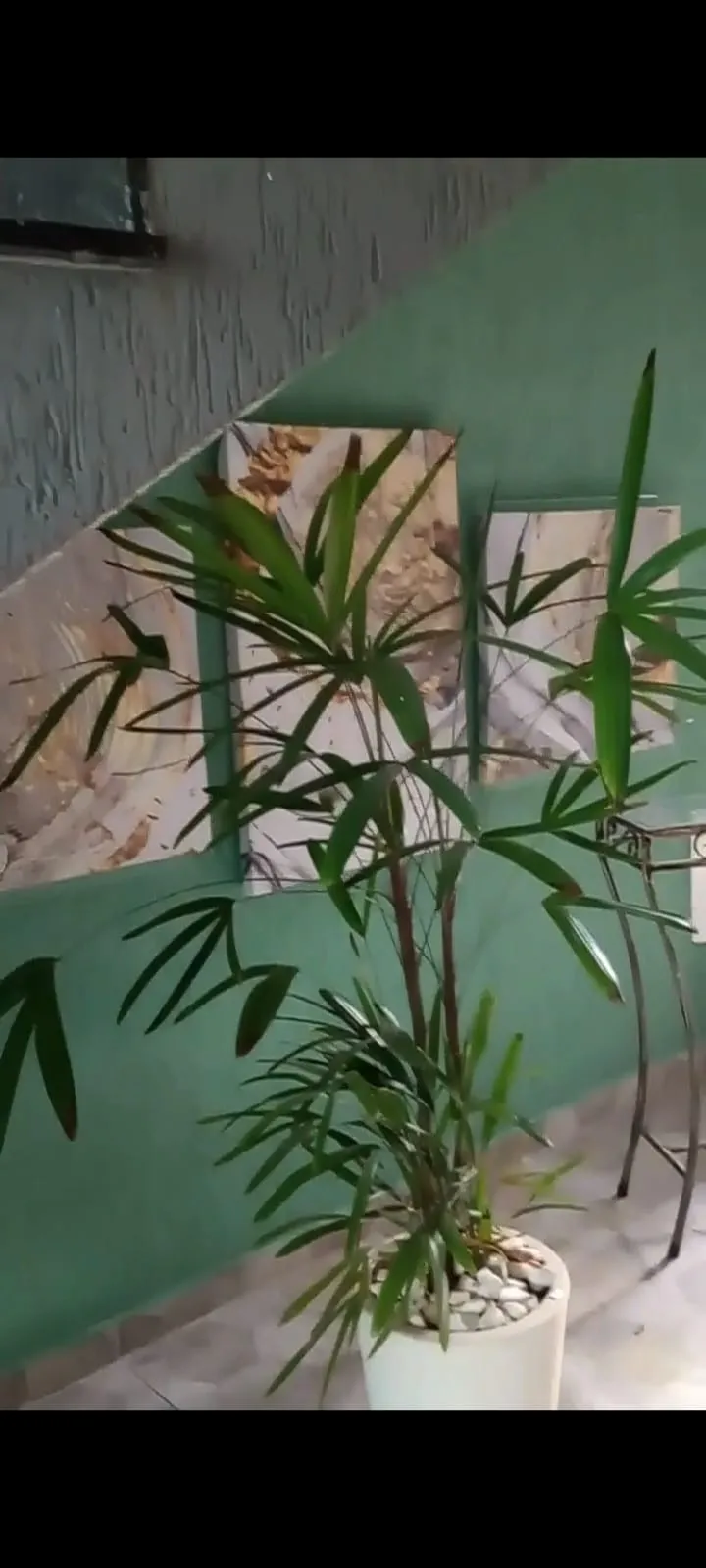 Imagem Apartamento à venda em São Paulo-SP, Parque Sevilha: 2 quartos, 1 sala, 1 banheiro, 1 vaga, 42m². Venha conferir!