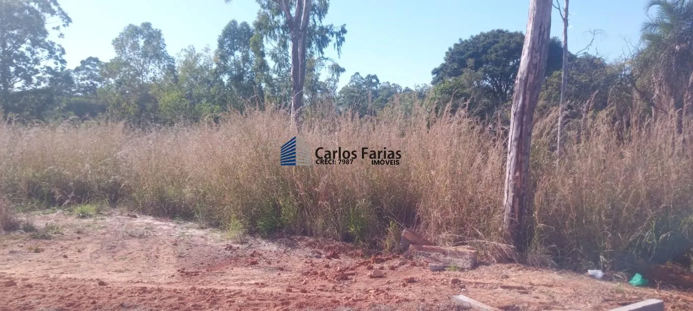 Imagem Chácara para Venda em Brasília, Setor Habitacional Tororó (Jardim Botânico), 3 dormitórios, 1 suíte, 2 banheiros, 2 vagas