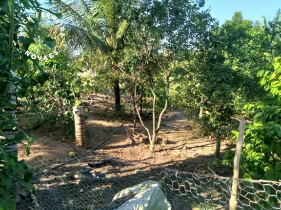 Imagem Chácara em Guarapari com casa linear pomar garagem com 1.300 m2 de terreno e área construída de 117m2.