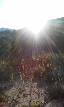 Imagem Área Rural Mairiporã lazer e moradia