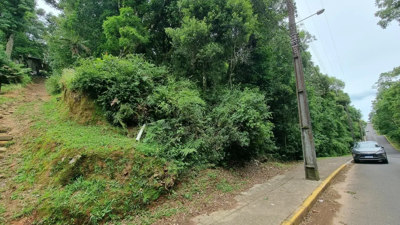 Imagem Terreno à venda em Gramado, Moura, 1027.65m2