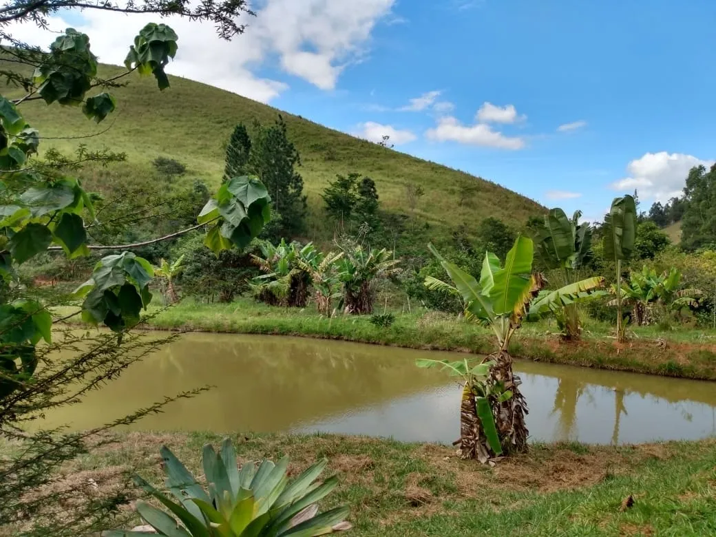 Chácara à venda 2 Quartos, 135000M², Zona Rural, Piquete - SP