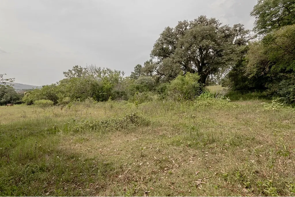 Imagem Terreno em Belém Velho