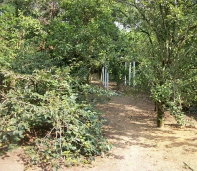 Imagem Sobrado para Venda - 800m², 3 dormitórios, Belém Novo